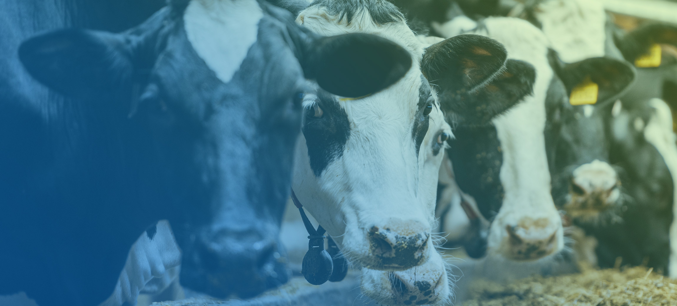 https://www.hbsslaw.com/sites/default/files/slide/2022-07/ne-dairy.jpg