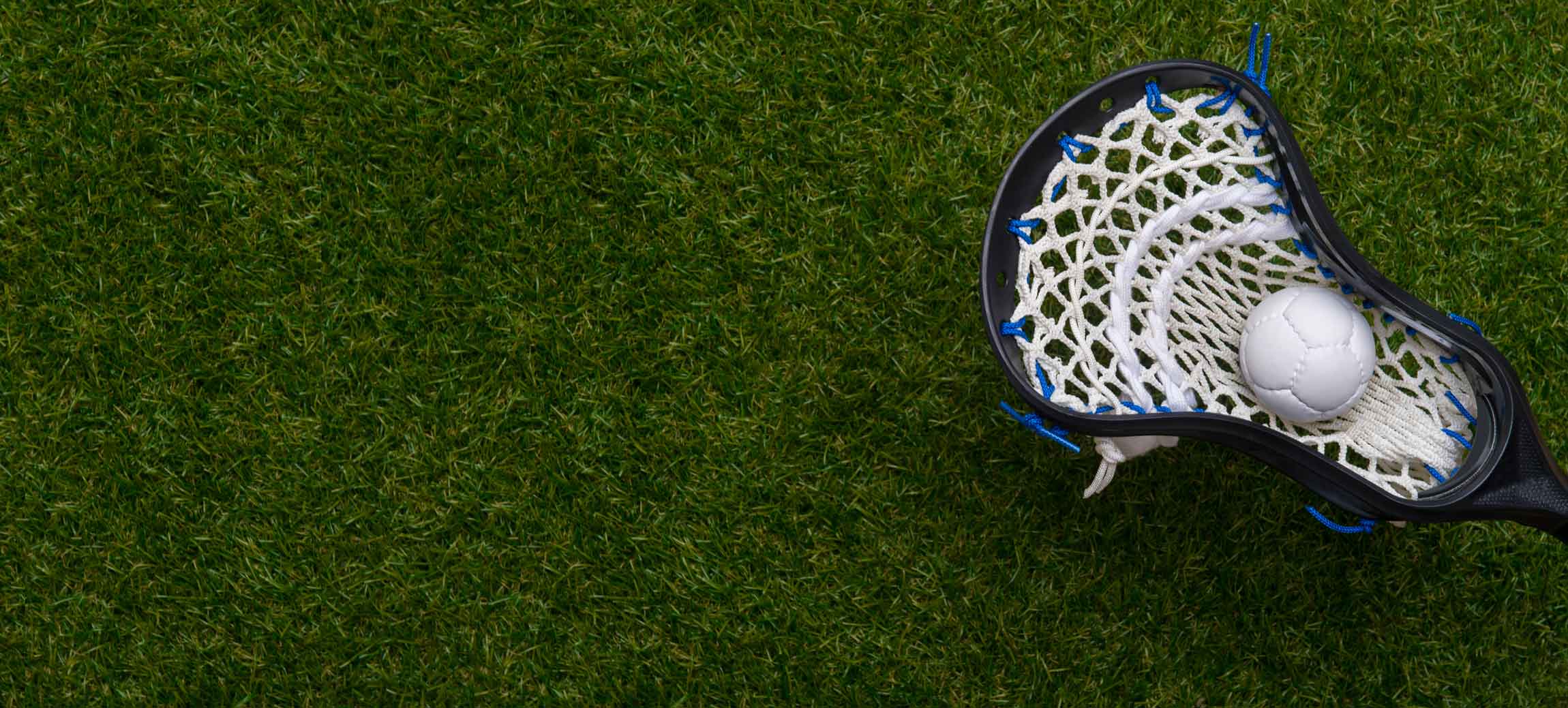 Lacrosse Stick and Ball