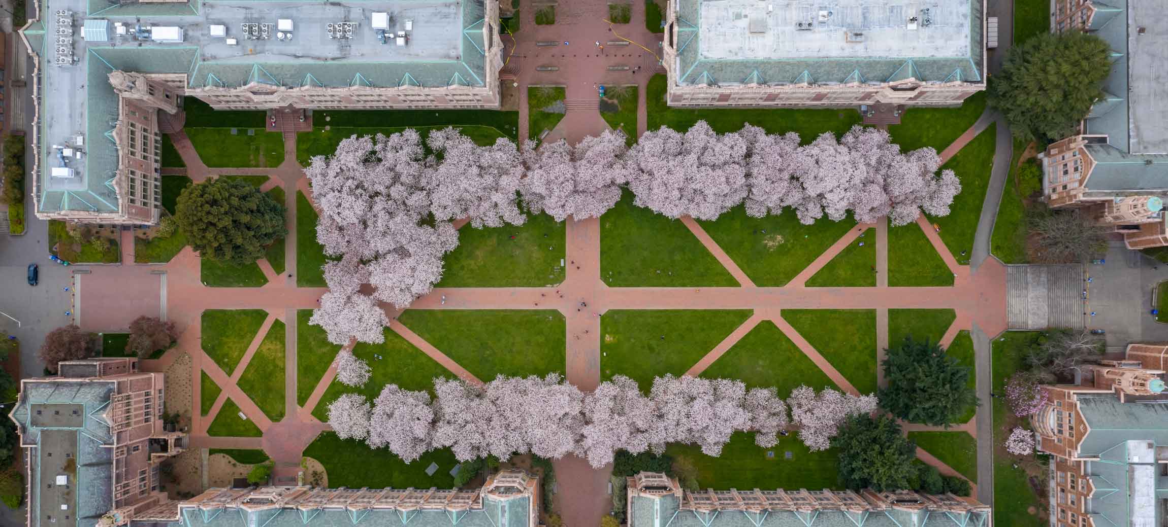 University of Washington Campus