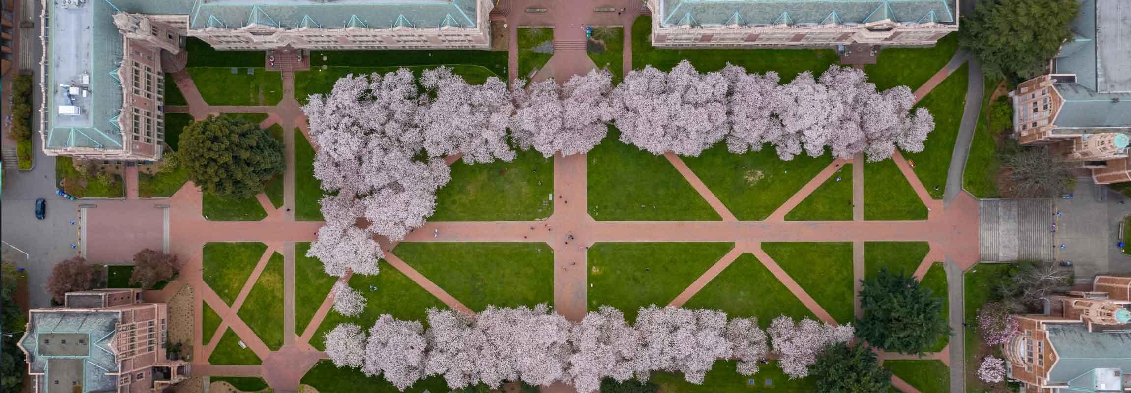 Unversity of Washington Campus